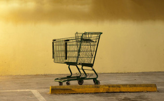 20130507shoppincart